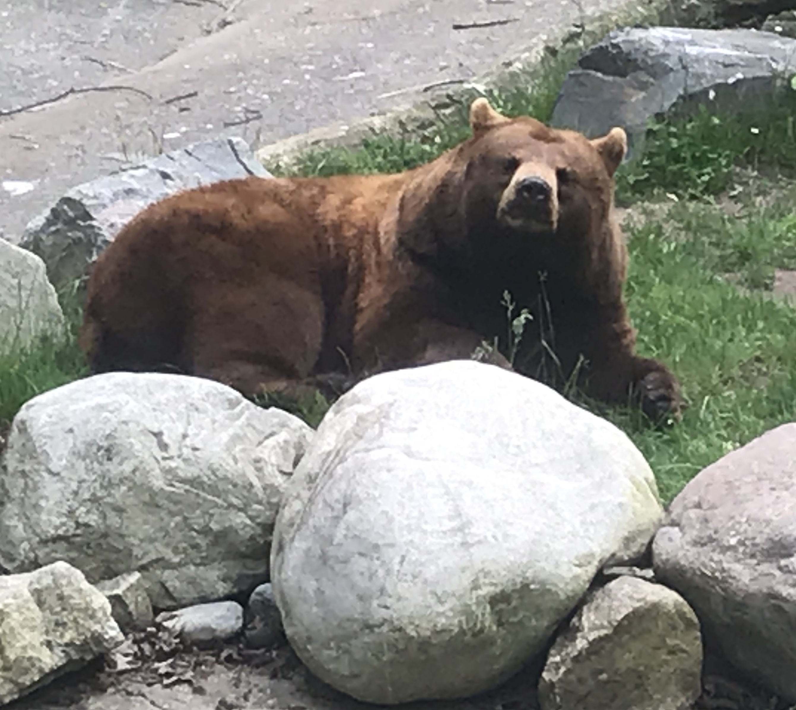 9060934A-F471-49D2-A77D-5604DF3CD9A3