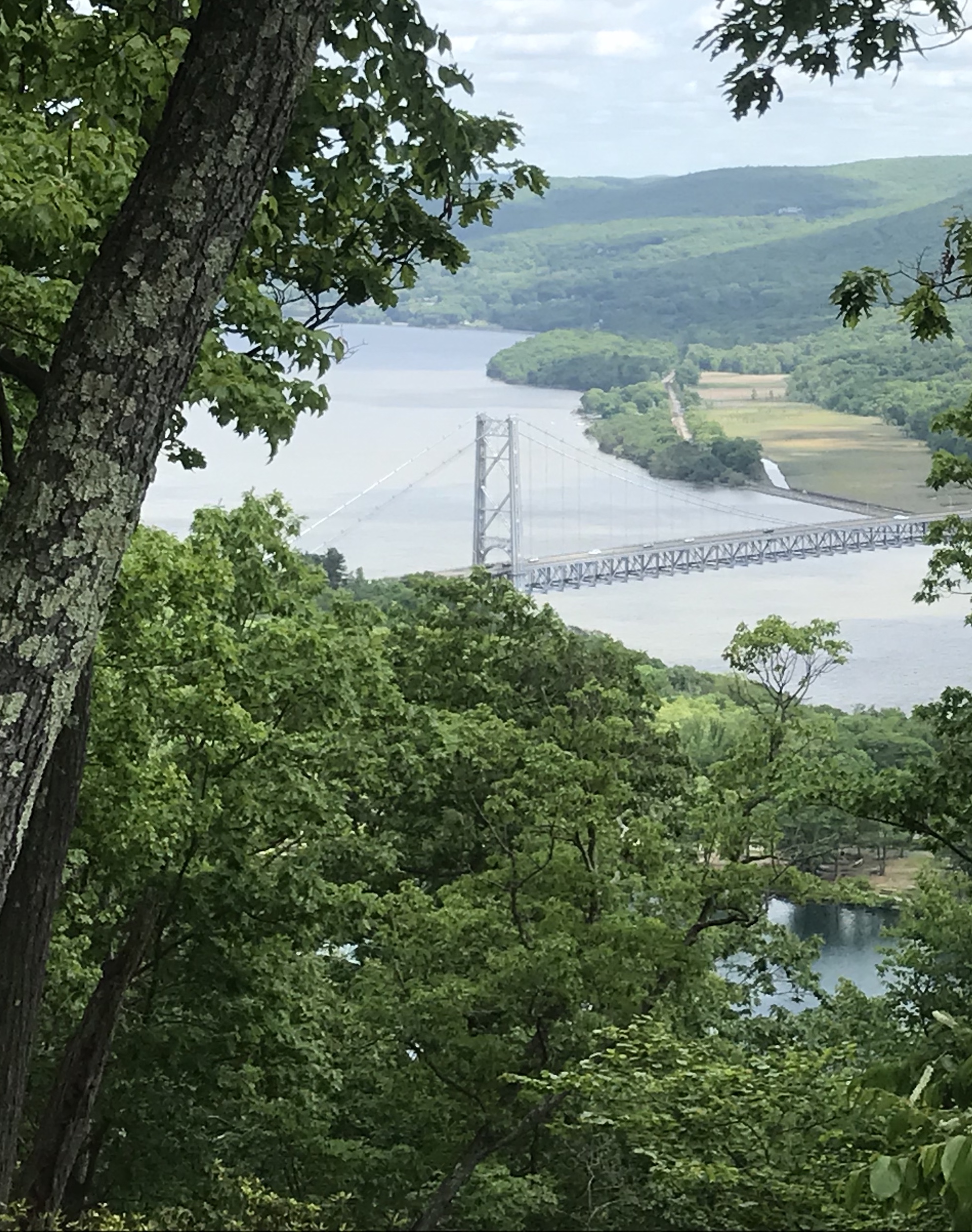 AE3D28DB-1F94-4400-93BF-AA164728BAFE