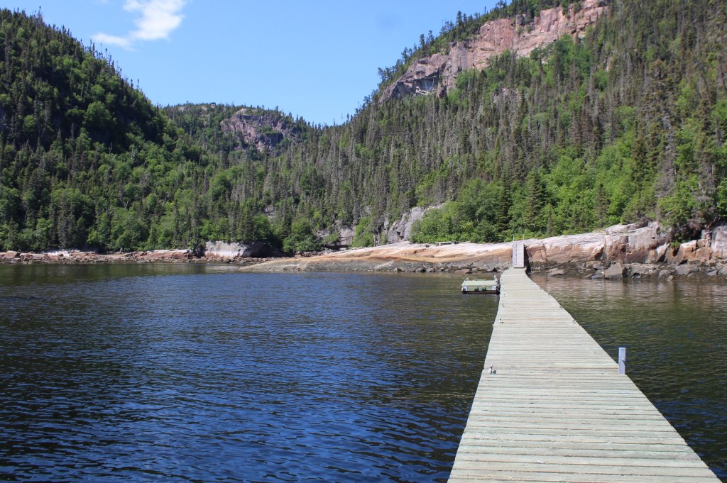 Whales, Waterfalls, and&nbsp;Waves