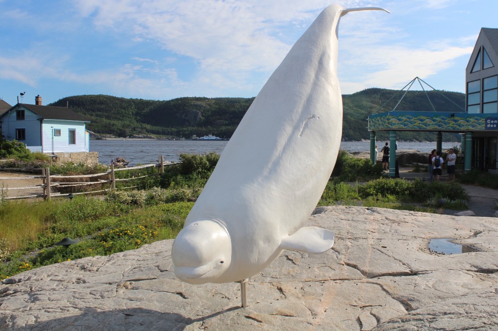 On the Whale Tail&nbsp;Trail